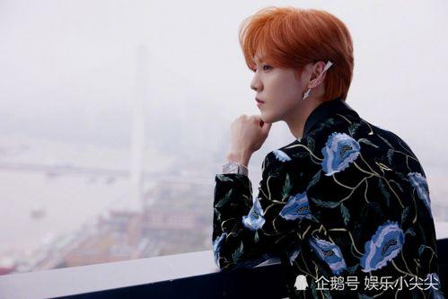 鹿晗好友爆料视频在线观看,揭秘明星圈层真实一面